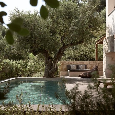 Zayn Luxury Villas, A Serene Escape, By Thinkvilla 蒂锡利维 外观 照片