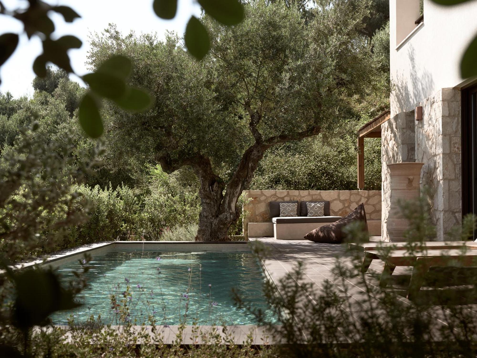 Zayn Luxury Villas, A Serene Escape, By Thinkvilla 蒂锡利维 外观 照片