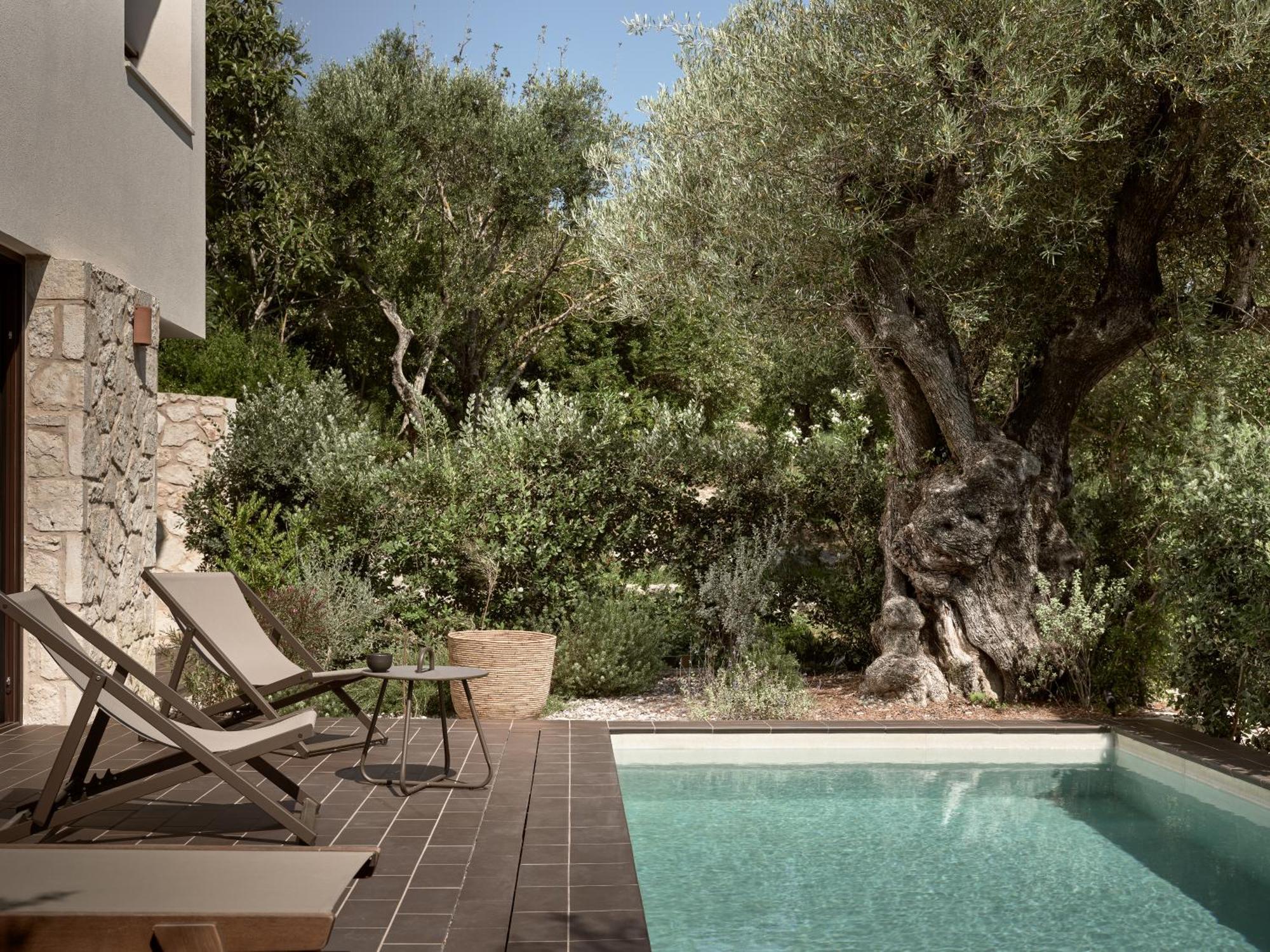 Zayn Luxury Villas, A Serene Escape, By Thinkvilla 蒂锡利维 外观 照片